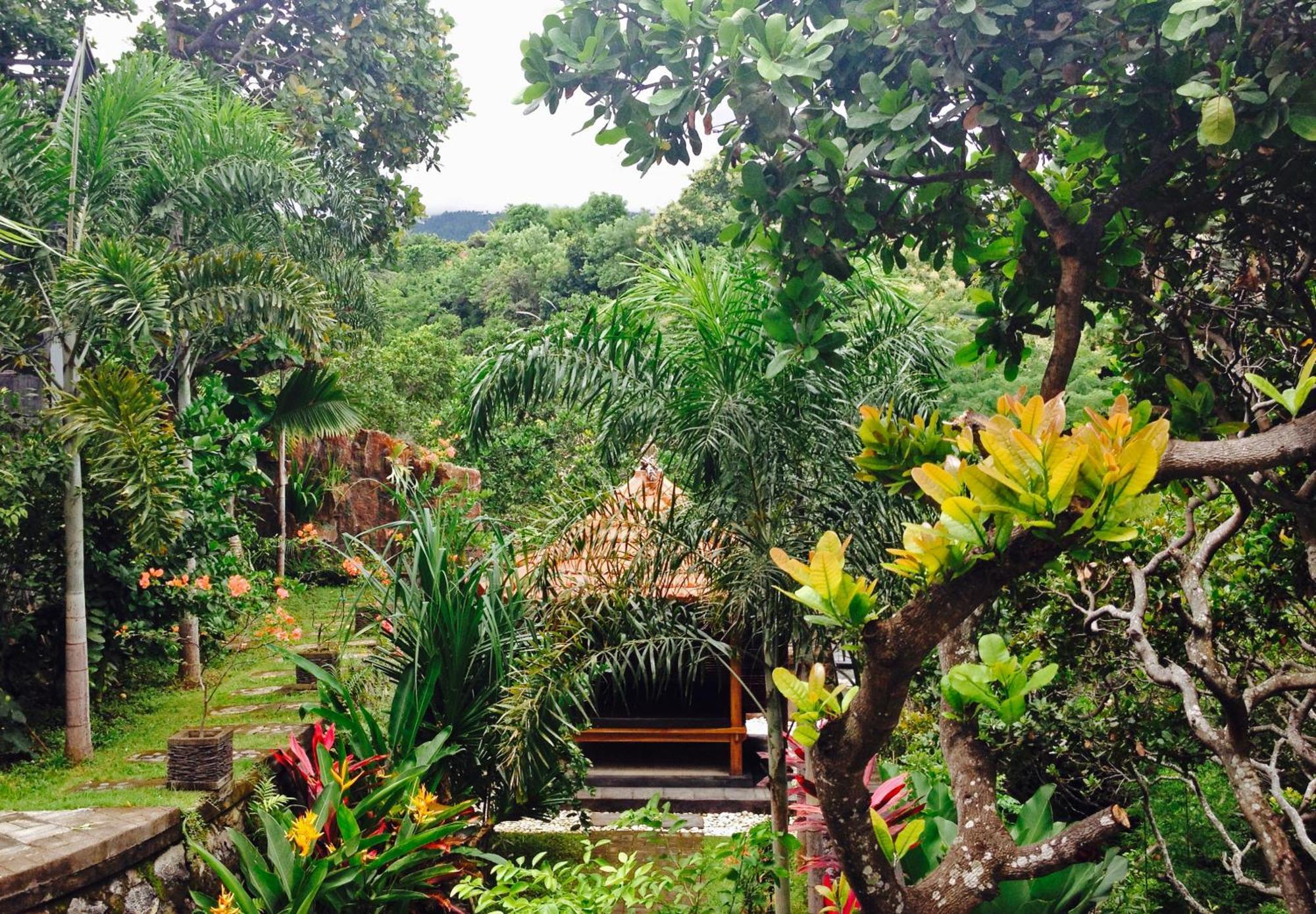 Winy-Villa Lovina Bagian luar foto